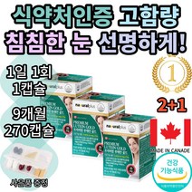 내츄럴플러스 프리미엄 루테인골드 망막 황반변성 안구 건조증 건조 백내장 녹내장 영양제 치료 치료제 보호제 약 에좋은약 방지 약국 시력 에좋은영양제 망막방리 망막질환 비타민A, 270정