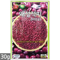 왜성적피 강낭콩 씨앗 30g - 콩씨 콩씨앗 씨 강낭콩씨 빨간강낭콩 붉은강낭콩씨앗 씨 강낭콩씨앗 주말농장 텃밭, 16_왜성적피강낭콩(30g)