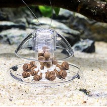 수족관 수조 달팽이 거머리 함정 트랩 투명 케이스
