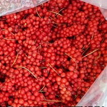 제천 월악산 다섯가지맛 담근 수제 오미자청 10kg