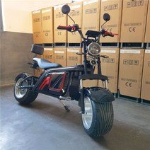 오토바이 전기 5000W Motorad 중국 큰 제조 업체 좋은 가격, 한개옵션0