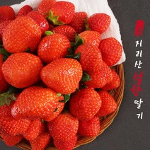 GAP 지리산 산청 설향 딸기 중품 상품 특품 1kg, 설향딸기 난좌포장 750g (24과) - 대