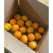 제주 황금향 당도선별 꿀당도 가정용 3kg 5kg 10kg 13브릭스, 1개
