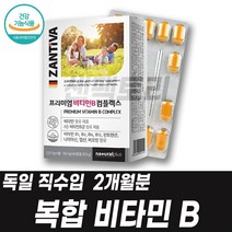비타민B3 나이아신 비타민B9 엽산 Folic acid 비오틴