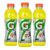 게토레이 레몬 600ml x 40개 펫 이온음료
