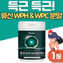 단백질보충제 WPH 단백질 운동전 프로틴 류신 구아검 가수분해물 함유 여성 근육키우는법 유청단백질분말