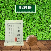 수초 씨앗 어항 조경 세트 산소 증가 소대엽 씨앗 풀독, 소대엽 1봉지