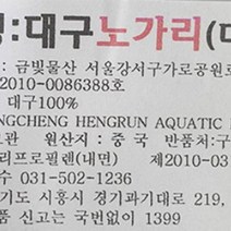 대구노가리(대 40미)