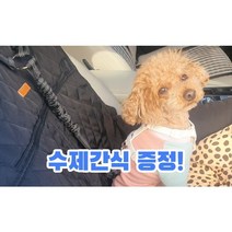 강아지 안전벨트 차량용 반려견 목줄 애견 충격흡수 리드줄, 헤드레스트형, 레드