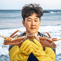 [선주직송] 프리미엄 대게 포항 구룡포, 3마리, 수율 90%보장) 박달대게 대