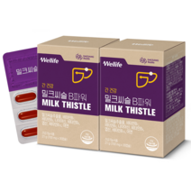 대상웰라이프 밀크씨슬 B파워 2박스 (700mg x 60캡슐) 실리마린 간건강 영양보충용제품 100%정품 160519, 1.밀크씨슬 B파워 2박스 60캡슐