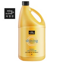 미쟝센 미쟝센 헤어테라피 샤이닝 모이스처 대용량 샴푸 4.2kg, 단품, 단품