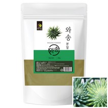 와송 분말 가루 국내산 500G 풍부한영양소 와송파우더, 와송분말500g