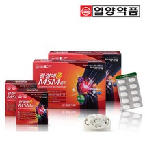 여자 영양제 건강 기능 식품 직장인 일양약품 관절애존MSM골드 240정 관절영양제 엠에스엠