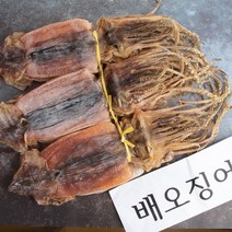 가락시장도매 배오징어 마른오징어, 5마리, 400g내외