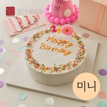 생일케이크세트 기념일 화이트(바닐라) 미니 케익만들기키트 (미니/1호/2호/3호) 주문제작 레터링 맞춤 (평일 오후3시이전 당일 출고), 화이트(바닐라) 미니 1set