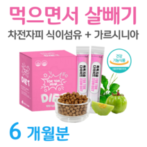 가르시니아 다이어트 탄수화물 지방합성 억제 HCA 차전자피 식이섬유 배변활동 원활 체지방 감소 도움 식 약 처 인정 건강기능식품 홈쇼핑 프리미엄 영양제 성분 가격 효능 비교, 6개월치, 6000mg x 60포 (하루2포)