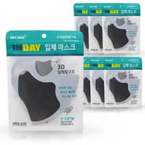 INDAY 입체 마스크 7매