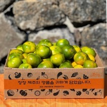 신씨곳간 제주 하우스 밀감 효돈감귤 로얄과, 2.5kg (24~40과), 1개