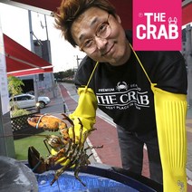 더꽃게 캐나다 활 랍스타, 1마리, 1.3kg (1.2-1.3kg)