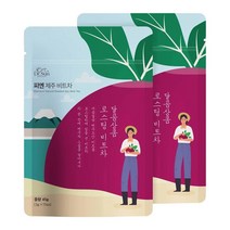 힐링선 제주 비트차 30티백 1개