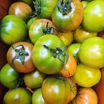 부산 대저 짭짤이토마토 2.5kg 2S.S사이즈 1박스, 단품, 쿠팡 본상품선택