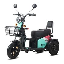 노인 자전거 전기 전동 성인 어른용 삼륜 타기쉬운, 300w로우  베어카 48V