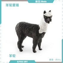 야생 동물 알파카 미니어처 솔리드 리얼 모델 피규어 홈 장식 동물원 교육 컬렉션 장식품, 6