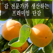 제철반시 관련 상품 TOP 추천 순위