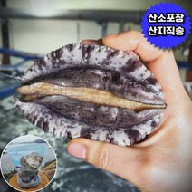 완도산 활전복 1kg 생물 수산 보양식 산지직송 신선배송 당일 발송, 15미 2kg