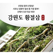 강원도 명품 황절삼 1세트-10뿌리 5년근이상 산양삼 장뇌삼 산삼, 1박스(10뿌리)