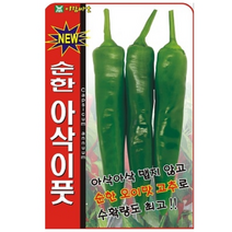 아삭이풋 오이맛 고추 씨앗 50립