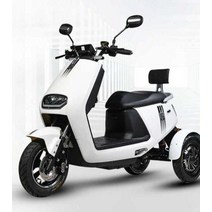 삼륜오토바이 3륜 스포츠 투어링 팜트럭 농업용 선물 기계 무거운 해변, (72V50AH 리튬 배터리 충전 가능)