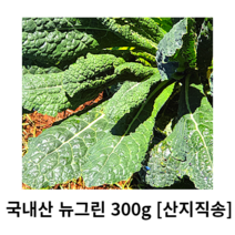 국내산 뉴그린 300g 산지직송 토스카노 잎브로콜리 Toscano 뉴그린야채 채소뉴그린 뉴그린토스카노 샐러드 샐러드야채 특수채소 즙용 주스용 무침용 잎채소 샐러드채소 쌈채소 신선한