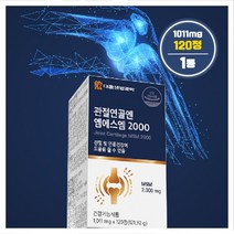 관절 연골엔 엠에스엠2000 MSM, 1통, 120정