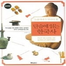 [개똥이네][중고-상] 단숨에 읽는 한국사 - 논술세대가 알아야 할 (포켓판)