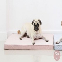 반려동물 L 강아지 매트 켄넬 쿠션 목욕 반려견 샴푸 용품 콤피 비누 린스 애견 ghddprjs*64314321XG, L베이지