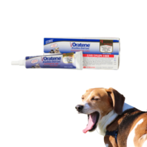 강아지고양이 치주염치료제 잇몸염증약 자이목스치약 안티셉틱오랄젤 28g, 오라틴 투스페이스트 70g