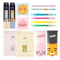 카카오프렌즈 실속 어린이 학용품 문구세트, 라이언, 라이언, 1개