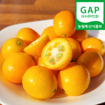 (자연마을) 제주 GAP 고당도 하우스 금귤 낑깡 1kg, GAP 고당도 하우스 금귤 1kg