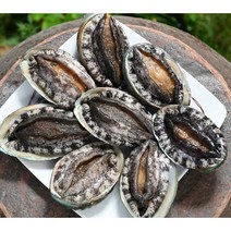 (추석 선물세트)명품4호 대전복 선물세트 1.5kg(1kg 12미~13미)+고급선물가방, 명품6호 1kg(7~8미)+선물포장, 특대전복 1kg