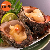 통영 제철 돌멍게 자연산 멍게 해녀채취, 1box, 돌멍게 2kg+회초장 40g