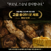 국내산 봉화 자연산 생 송이버섯 1등급 2등급 3등급 등외품, 1kg
