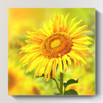 이츠굿텐 해바라기 벽화 실내 캔버스 액자 풍수 인테리어 홈 장식 아이템 그림