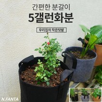 부직포 화분 식물 고구마 키우기 5갤런 30x25 블루베리 감자 고구마 모종 키우기 베란다 텃밭 흙 담기 화분, 2화분5갤런-그레이