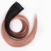 일월전빵 세트 투톤 그라데이션 헤어 피스 붙임머리 부분가발 브릿지 컬러피스 옴브레 50cm B-W001, 5개, 애쉬핑크