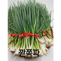 쪽파 국산 깐쪽파 1단 1kg 내외 보성 야채맘, 1개
