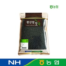 농협 국산 약콩 (쥐눈이콩) 서목태 500g, 1개