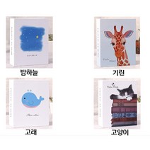 디자인 비닐형 유아 성장 포토앨범 기억 감성 가족 아이들 심플 추억, 밤하늘