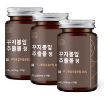 자연바름 꾸지뽕 잎 추출물 추출 분말 정 매스틱 양배추 브로콜리 안동산마 매실, 3개, 42g